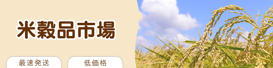 カテゴリ9