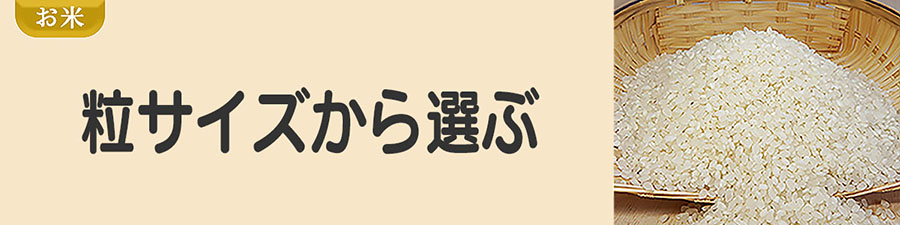 カテゴリ25