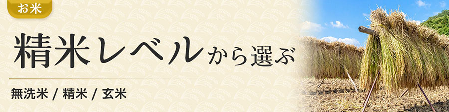 カテゴリ26